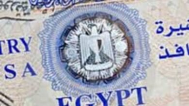 رسالة مؤثرة من سودانيين بالخارج لأجل لقاء ذويهم بالقاهرة! 14 IMG 20251201 WA0022