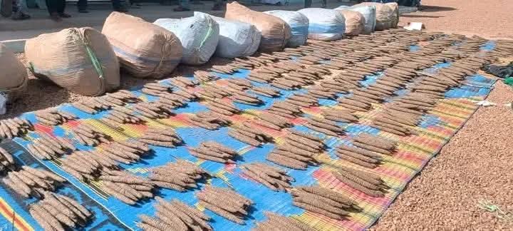 ضبط 14 جوال بنقو بهذه المنطقة 11 IMG 20251202 WA0010