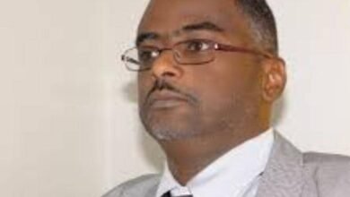 د ياسر محجوب الحسين: تحليل Jamestown وفهلوة الإلهاء 15 IMG 20251203 WA0004 3