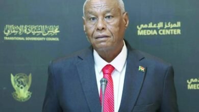 IMG 20251204 WA0031 1