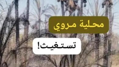 محلية مروي على حافة الانهيار ومناشدة عاجلة للبرهان!! 14 IMG 20251208 WA0036