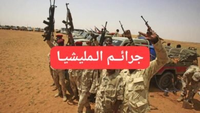 IMG 20251212 WA0071 1