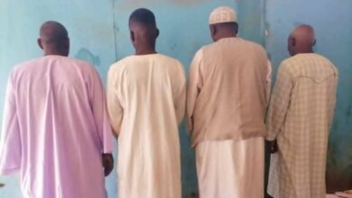 IMG 20251215 WA0005 1