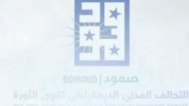 صمود يواجه دعوى ضده بالجنائية 17 IMG 20251220 WA0031
