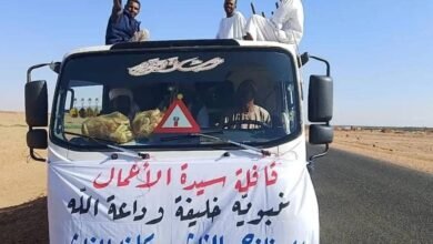 سيدة أعمال سودانية تسير قافلة ضخمة لنازحي الفاشر 16 IMG 20251226 WA0047