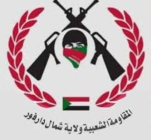 المقاومة الشعبية بالفاشر تكشف مصير صادم للجرحى!!