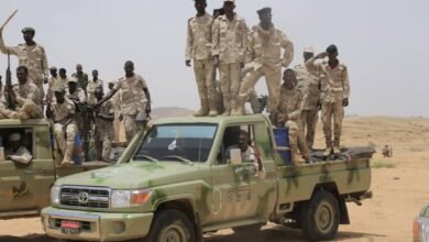 d9a25125 0085 43d7 a19c cd4b56f98238