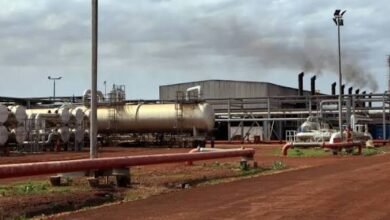 images 2025 12 26T082652.586