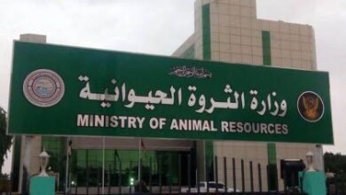 images 2025 12 26T170759.909