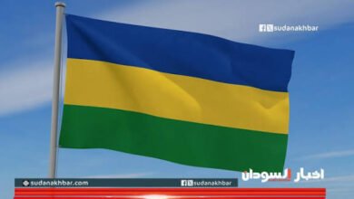 ما قصة علم الاستقلال الذي اقترح البرهان إعادته.. ولماذا انقسم السودانيون! 18 images 85