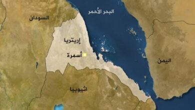 بين الحقيقة والمناورة.. تحالف دول البحر الأحمر... نهاية التراخي 17 images 89 2