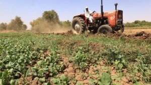 الكشف عن واقع صادم  لحجم المساحات المزروعة بالبلاد