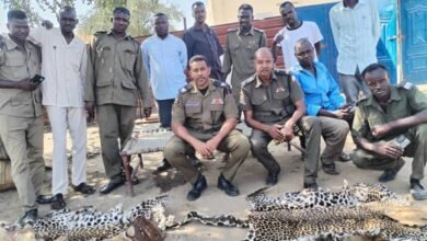 FB IMG 1763235097491