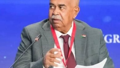 وزير الطاقة يصدر قرار سار 17 IMG 20251015 WA0018