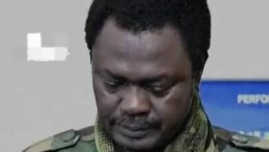 مني أركو مناوي يحذر من الهدنة الإنفصالية ويرسم واقعا قاتما !! 14 IMG 20251029 WA0000