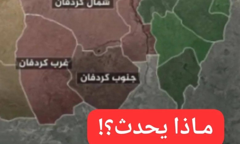 جنوب كردفان تشهد كارثة!! 11 IMG 20260103 WA0035 1