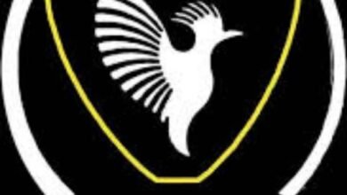 الاف المتعاونين مع الميلشيا في قبضة الأمن