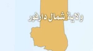 اعتداء خطير على الميلشي جوج و ماجوج