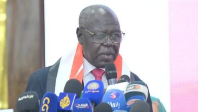 جراهام يبشر بشأن الآثار المنهوبة! 17 IMG 20260113 WA0032