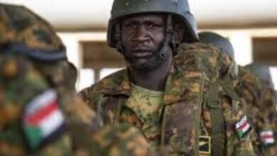 الجيش يكبد المليشيا خسائر فادحة ومئات القتلى بمحوري بارا وجبرا 14 IMG 20260118 WA0011