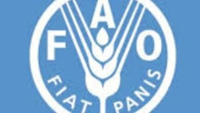منحة دولارية من الفاو لدعم قطاع الثروة الحيوانية 17 IMG 20260118 WA0012