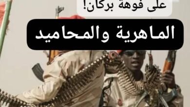 IMG 20260126 WA0013 1