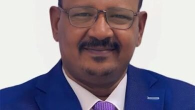 مجدي عبدالعزيز : لماذا تنظيم قطاع الذهب في السودان قضية أمن قومي وسيادة؟ 15 IMG 20260129 233324