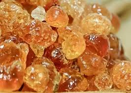 يا خبر.. زيادة بنسبة 150% في رسوم إنتاج الصمغ العربي 13 يا خبر.. زيادة بنسبة 150% في رسوم إنتاج الصمغ العربي