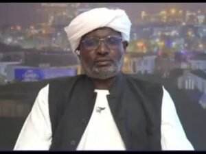 عبد الماجد عبد الحميد يكتب:زنقة كردفان