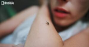ياخبر.. حمى الضنك تعود من جديد!!