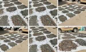 احباط تهريب (26) ألف طلقة ذخيرة عبر نهر عطبرة