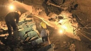 images 2026 01 13T110418.086