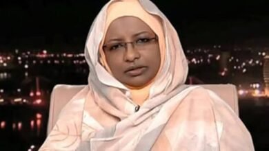 images 2026 01 31T142411.817