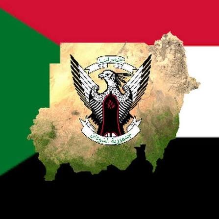 حين يتقدّم المتسلقون… لماذا يتأخر السودان؟!! 11 images 3 14