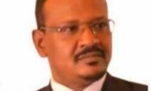 مجدي عبدالعزيز : لماذا تنظيم قطاع الذهب في السودان قضية أمن قومي وسيادة؟ 12 مجدي عبدالعزيز : لماذا تنظيم قطاع الذهب في السودان قضية أمن قومي وسيادة؟