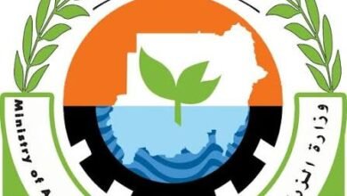 الكشف عن واقع صادم لحجم المساحات المزروعة بالبلاد 15 images 54 3