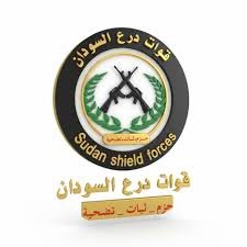 أسطول ضخم من العربات القتالية لدرع السودان يتجه لمناطق العمليات!!