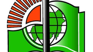 وزارة التعليم تعلن عن تقديم جديد لإمتحانات مرحلتي الإبتدائية والمتوسطة ! 17 images 94 4