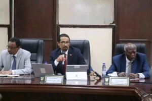 وزير التحول الرقمي يكشف عن إطلاق ٢٨ خدمة رقمية!!