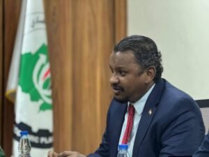 الخبراء المختصون في حظر الأسلحة على دارفور يتخذون خطوات عاجلة!!