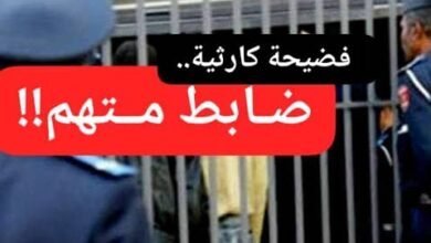 IMG 20260211 WA0005 1