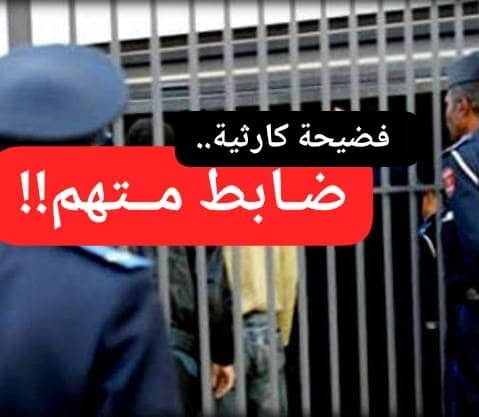 IMG 20260211 WA0005 1