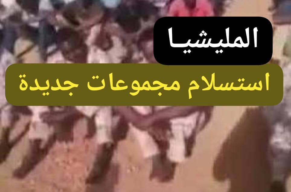 الأبيض تنتصر.. مجموعات جديدة من المليشيا تسلم نفسها! 11 IMG 20260213 WA0008
