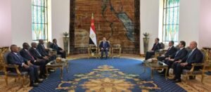 تفاصيل لقاء السيسي بكامل إدريس 12 تفاصيل لقاء السيسي بكامل إدريس