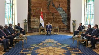 كامل إدريس: بحثت مع الرئيس المصري تحسين اوضاع السودانيين! 16 تفاصيل لقاء السيسي بكامل إدريس