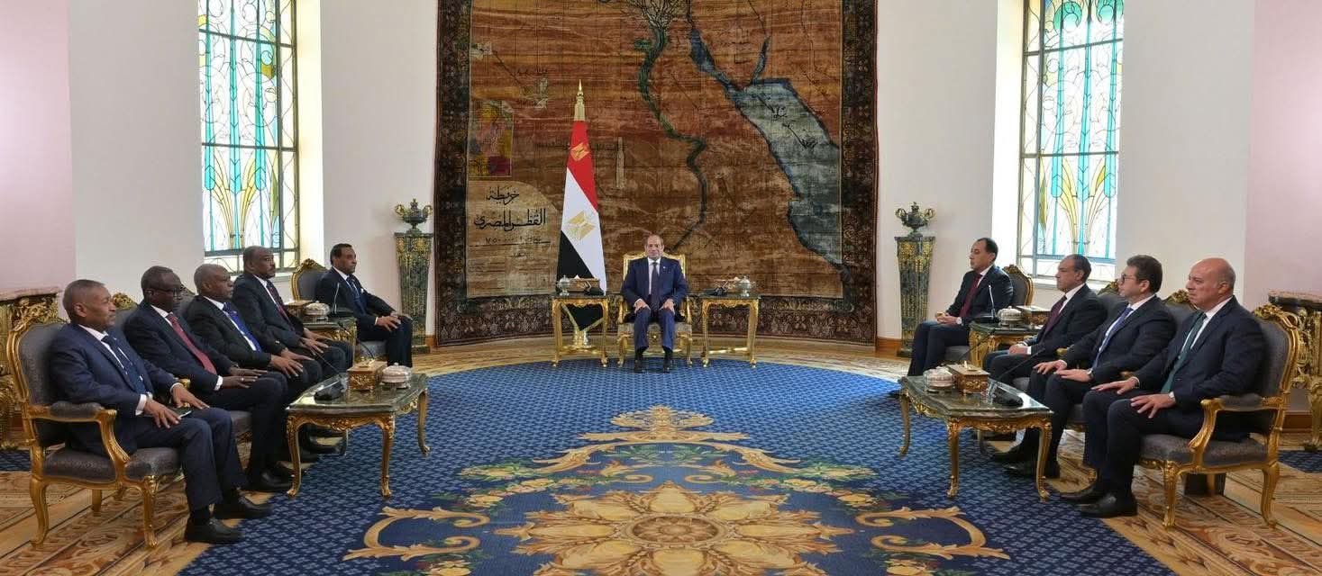 تفاصيل لقاء السيسي بكامل إدريس 