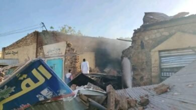 إسقاط مسيرات معادية بالأبيض 19 IMG 20260228 WA0001