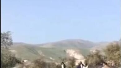 مليشيات مجهولة تنفذ نهبًا واسعًا للماشية بهذه المنطقة 16 Screenshot 20260209 103705 Chrome