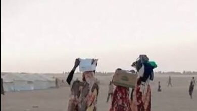 Screenshot 20260210 081323 Chrome