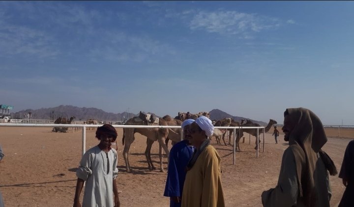 Screenshot 20260216 091453 Chrome